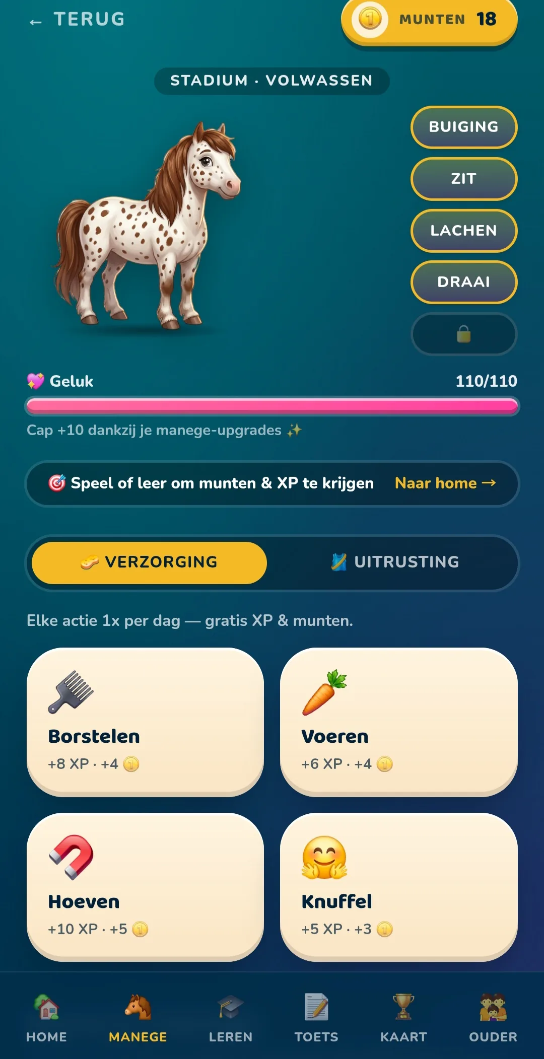 Pony verzorgen &mdash; borstelen, voeren, hoeven